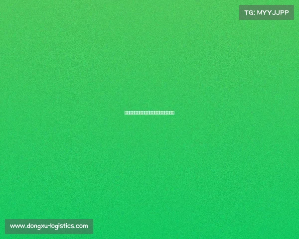 解码未来赛场：中传南广电竞专业的进阶密码